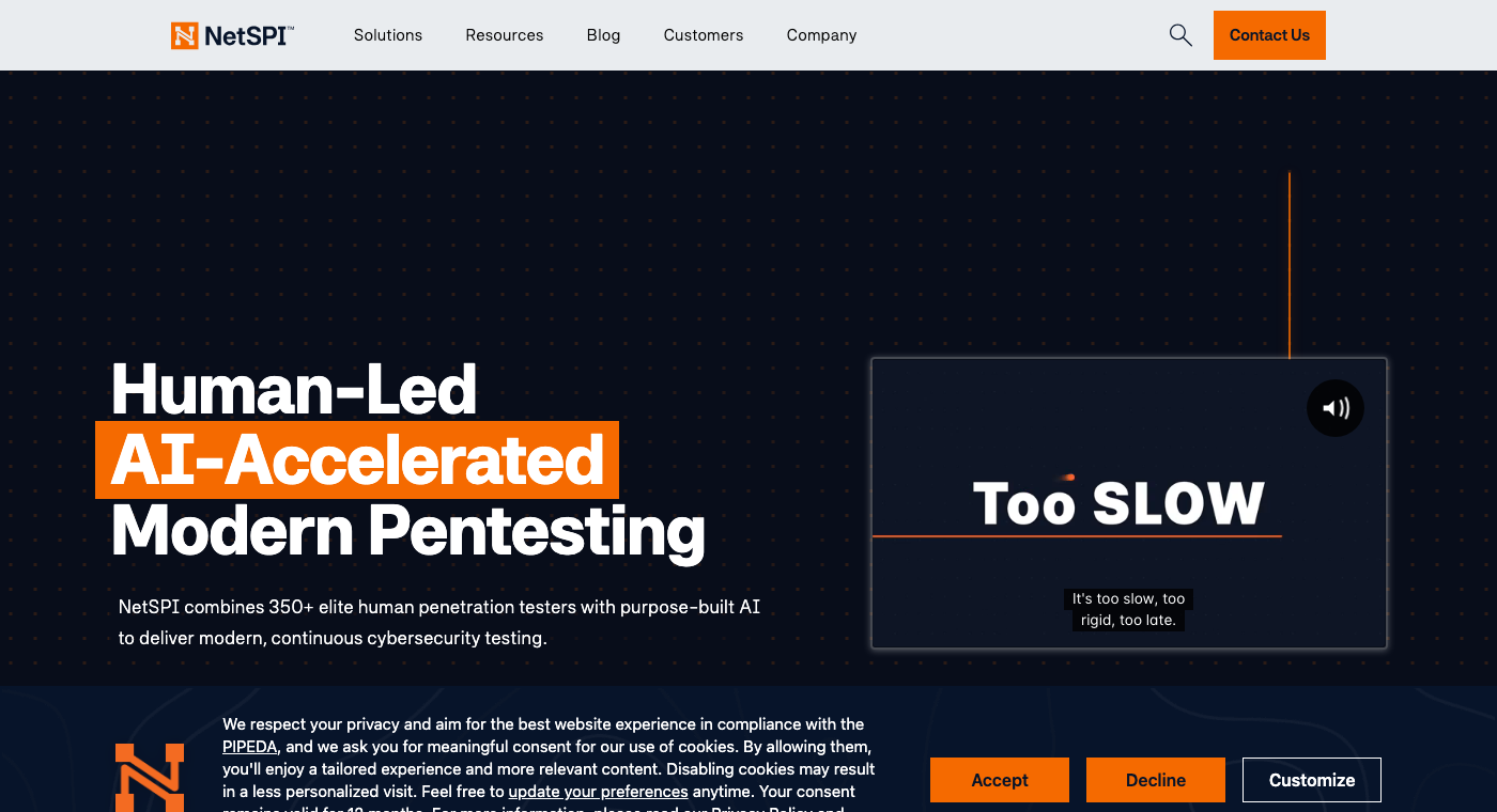 Netspi Homepage